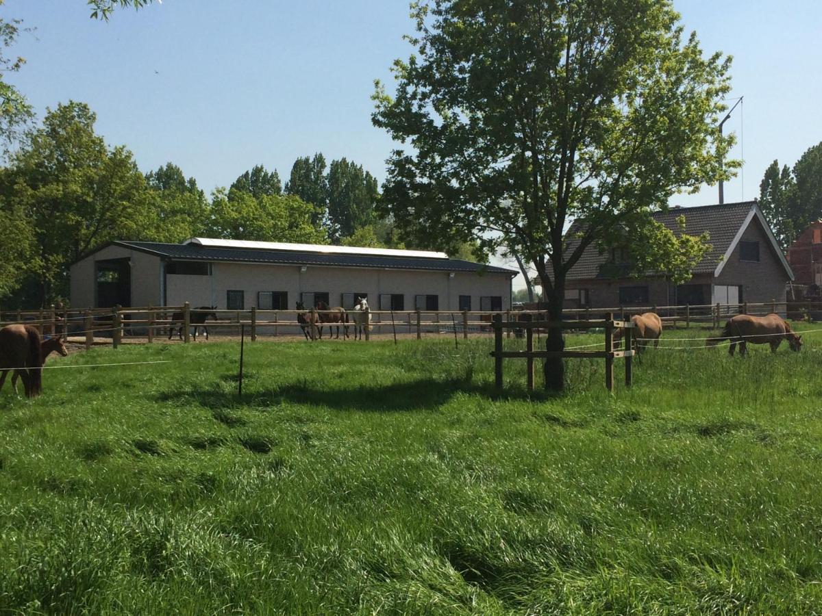 Vakantiehuisje 'T Morehof Oosterzele Exterior foto