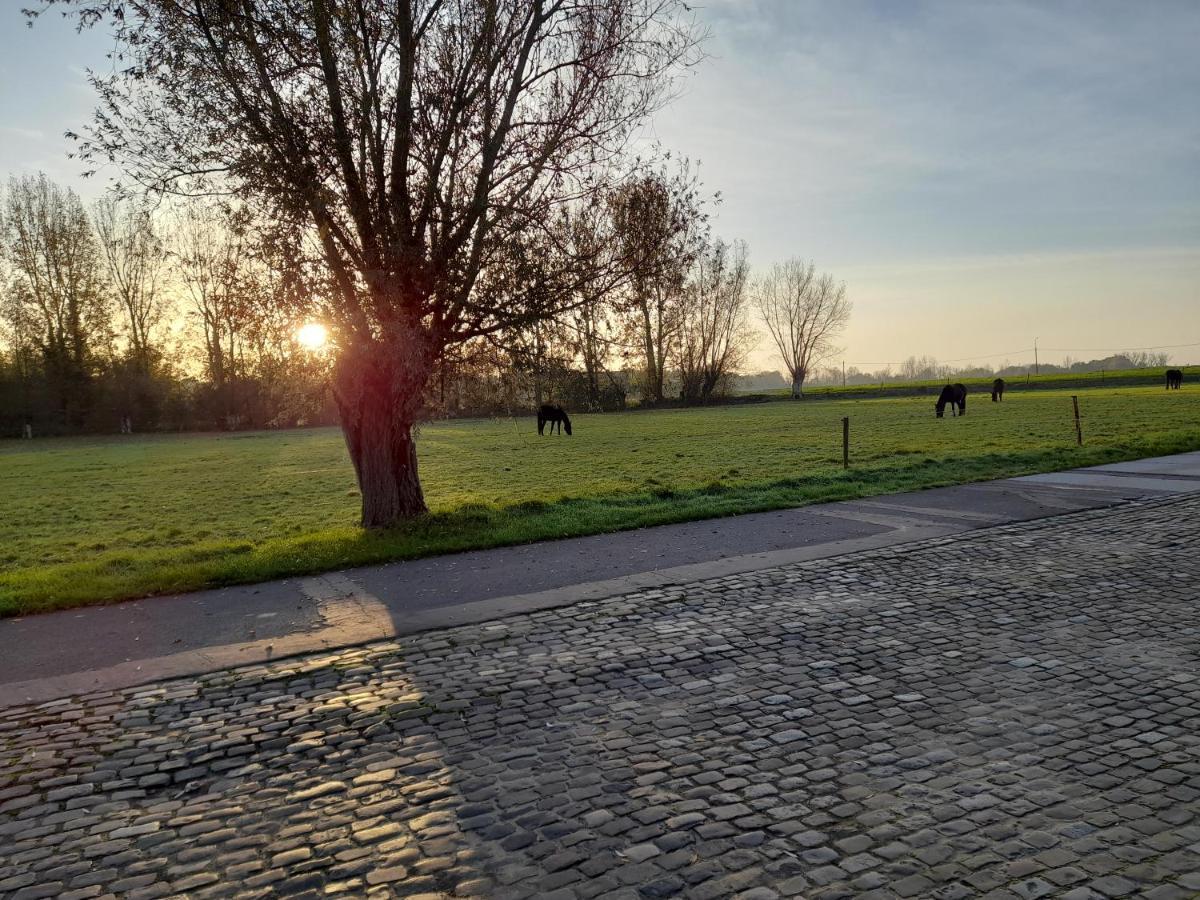 Vakantiehuisje 'T Morehof Oosterzele Exterior foto
